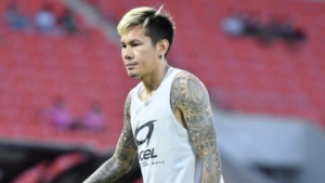 กลับมาลงสู่สนาม